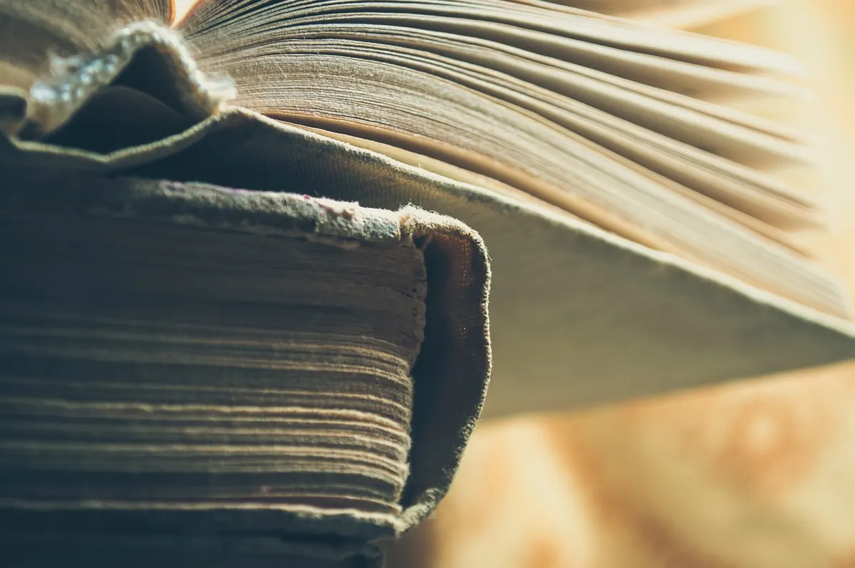 The Top 5 Bridge Books for Beginners in 2025